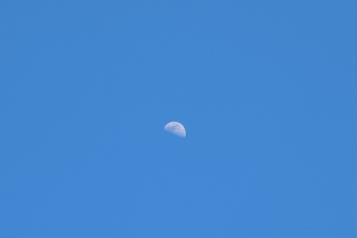 takamasa tweet media