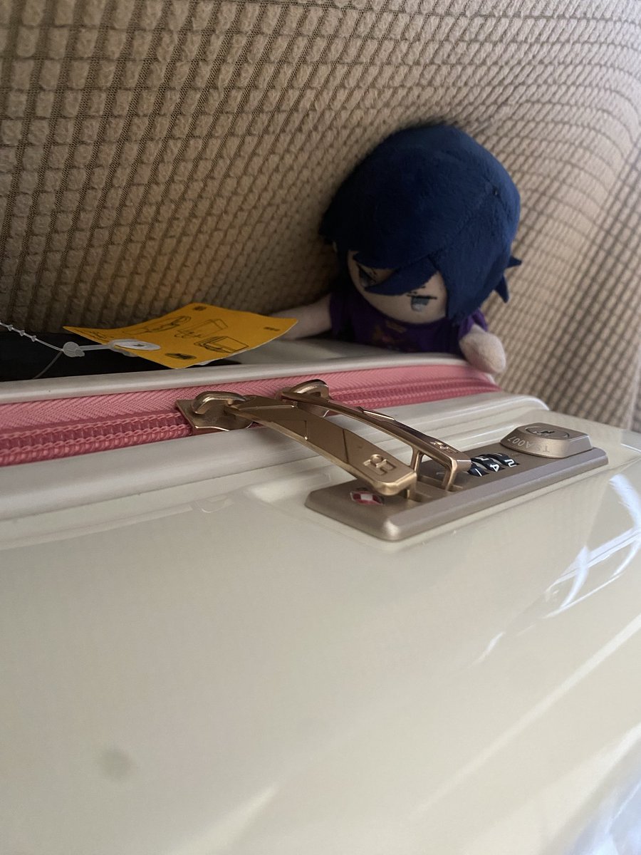 もみ🦥 tweet media