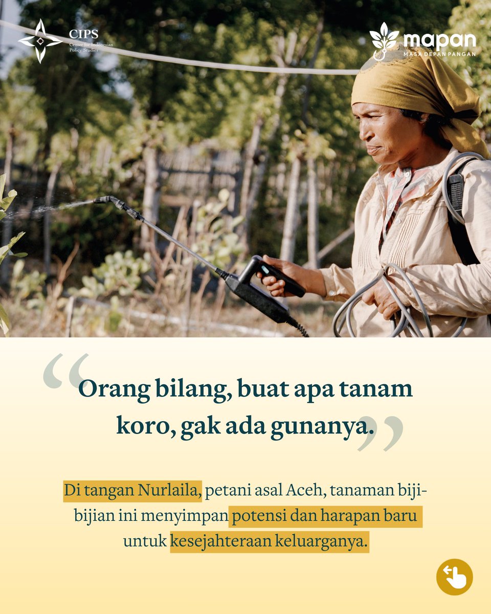 CIPS Indonesia tweet media