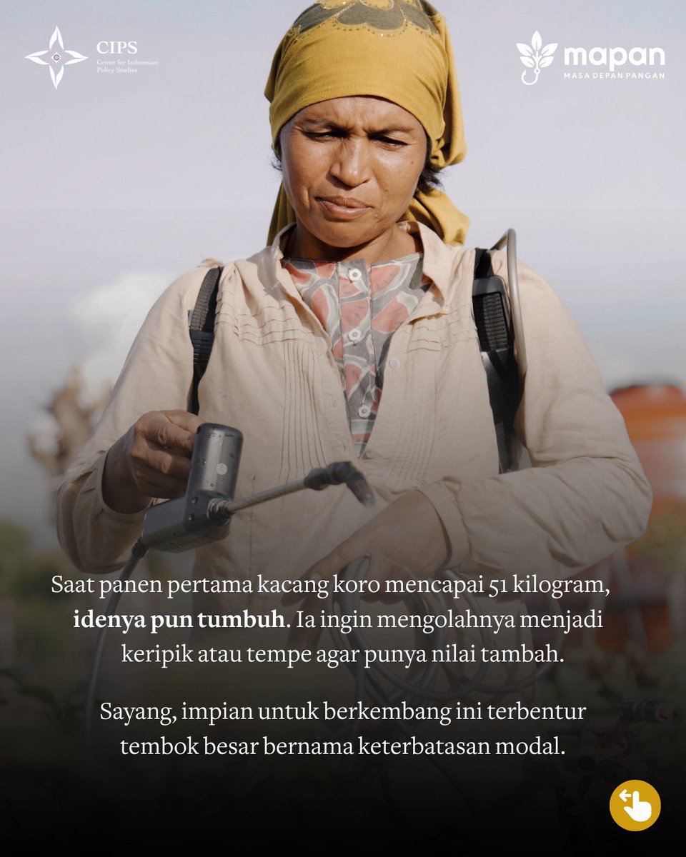 CIPS Indonesia tweet media