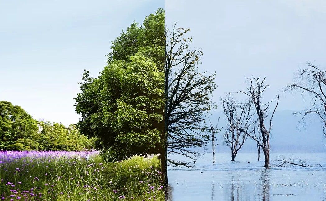 Catalyst Services UK tweet media