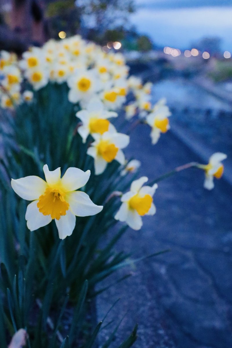 かじゅ tweet media