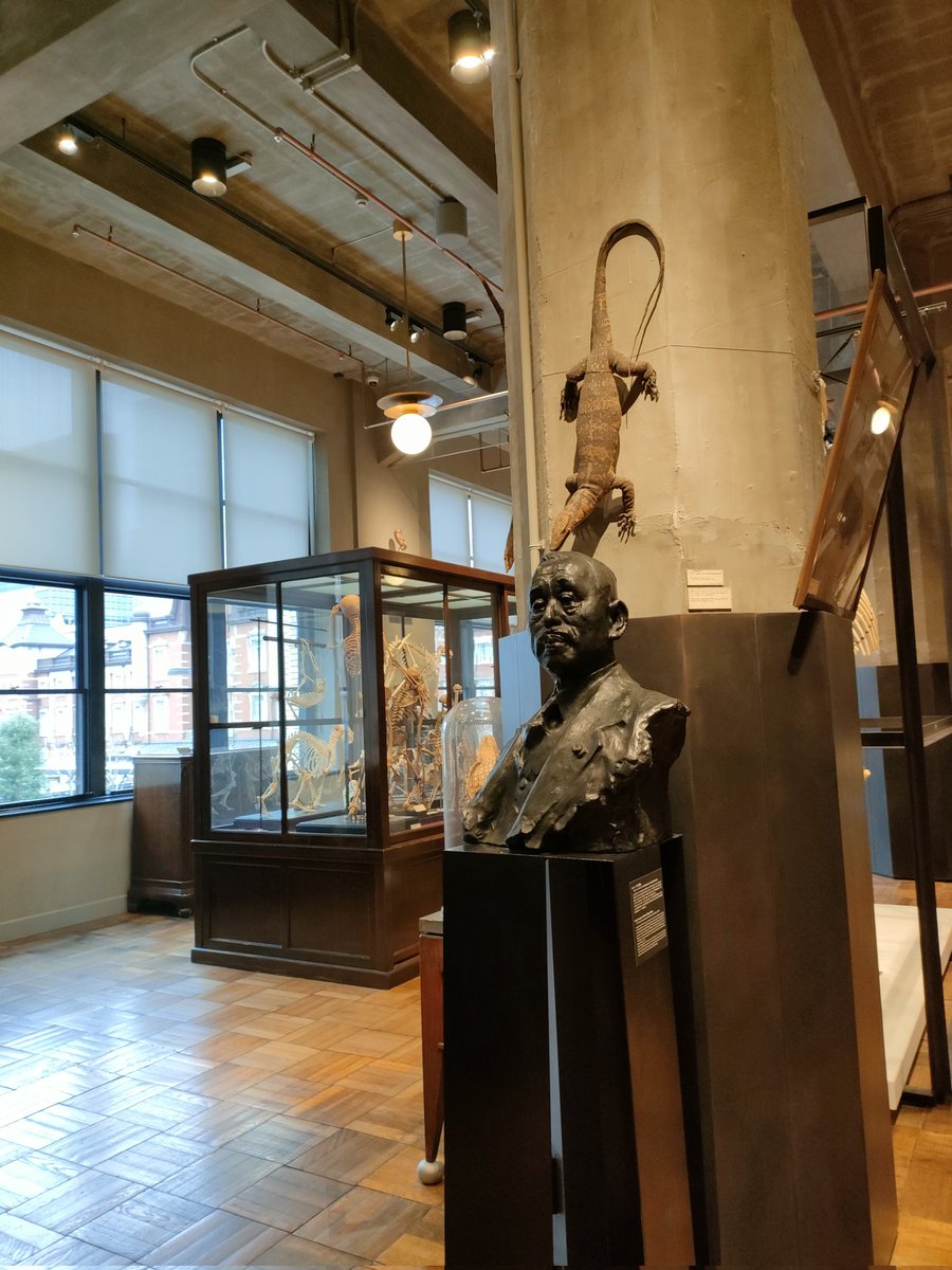 s_belline's tweet photo. 東京駅近くのkitteで東大の鉱物標本の一部を展示中。他にも骨格標本とか隕石もあって面白いです。
#インターメディアテク #imt https://t.co/HlB3V7bSa3
