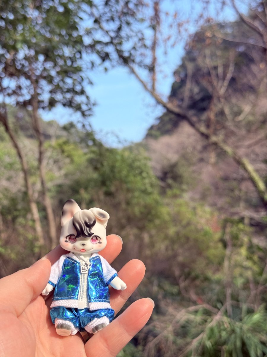 갱뚜루 tweet media