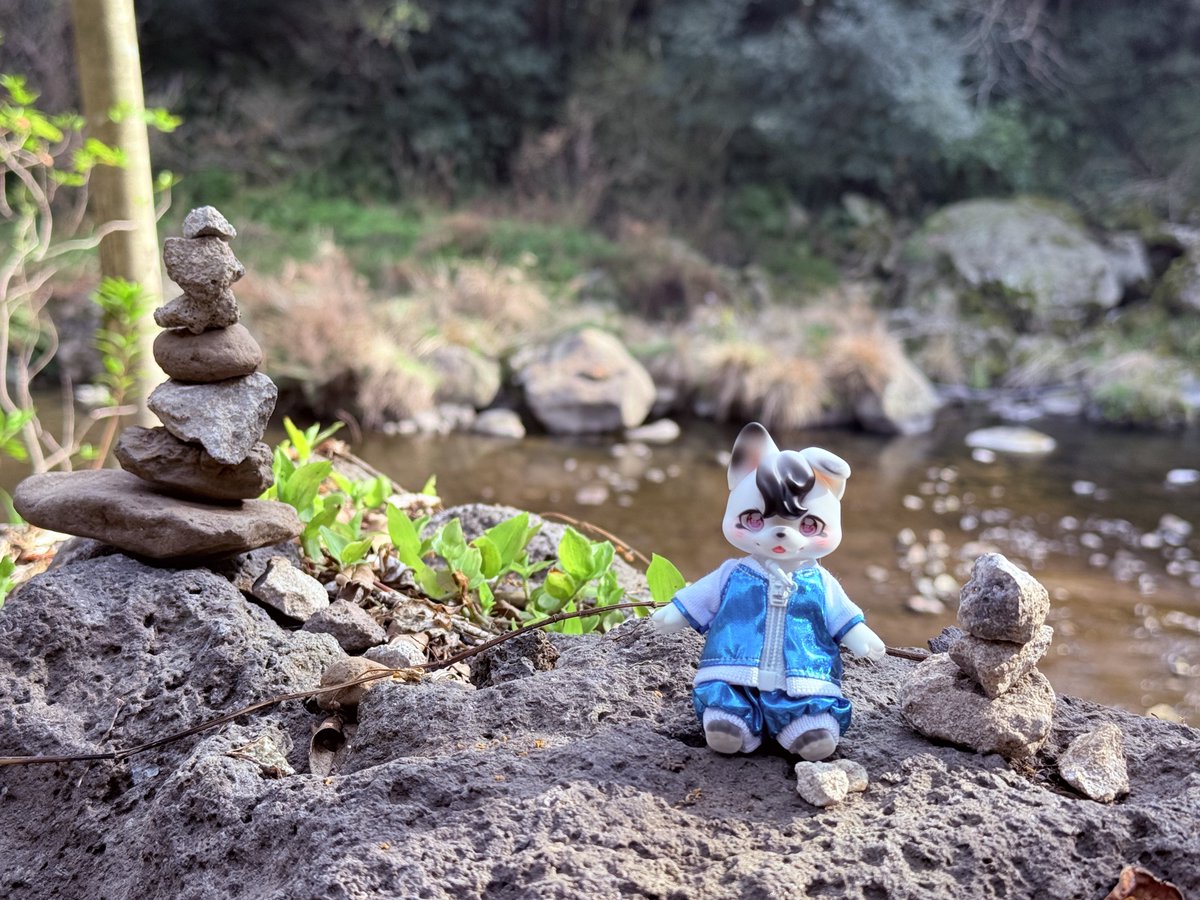 갱뚜루 tweet media