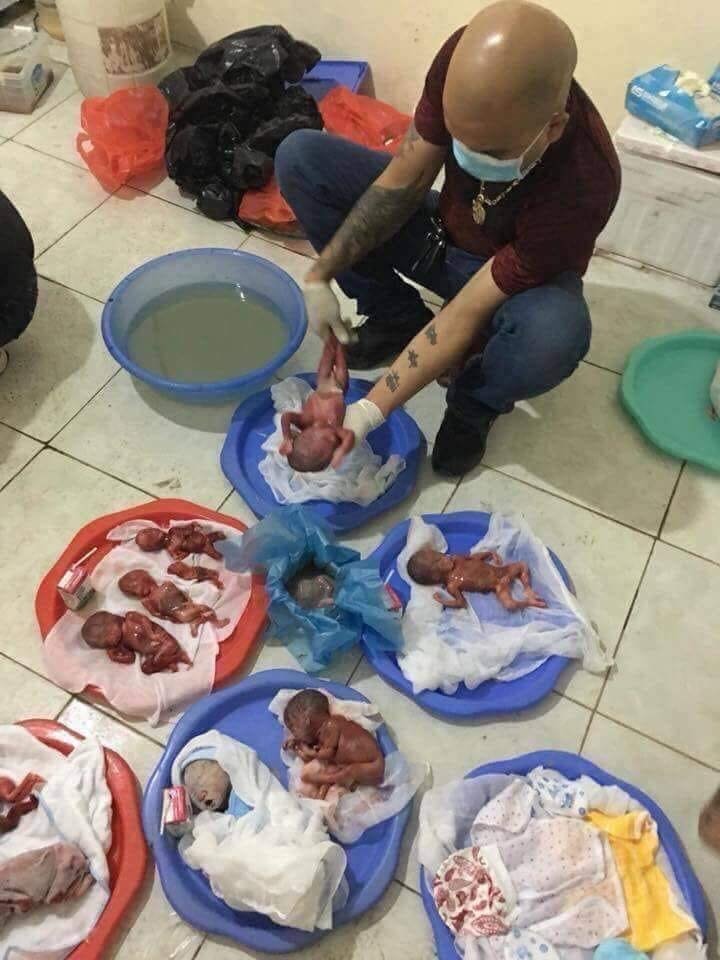 G.Strand tweet media