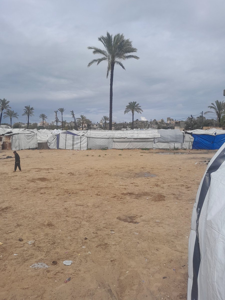 mohammedalmasri🍉🍉 tweet media