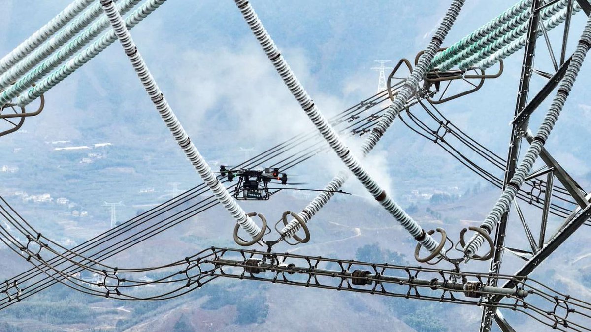 Voice of the People tweet media