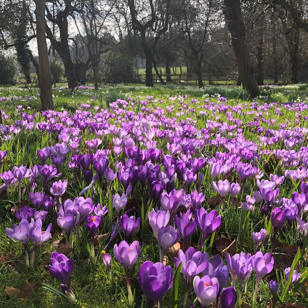 ナベリン🤗(´｡•◡•｡)ﾉ★*ﾟ♬*。… tweet media