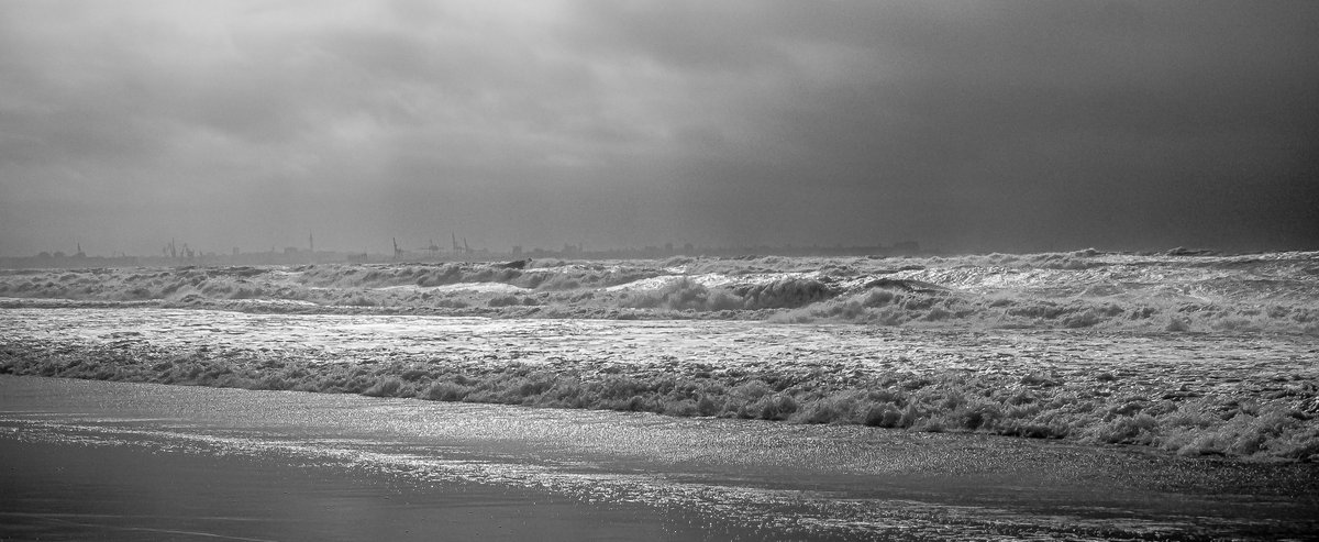 Deborah Powell tweet media