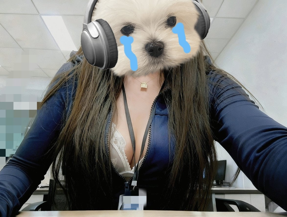 陆老师（教小学） tweet media