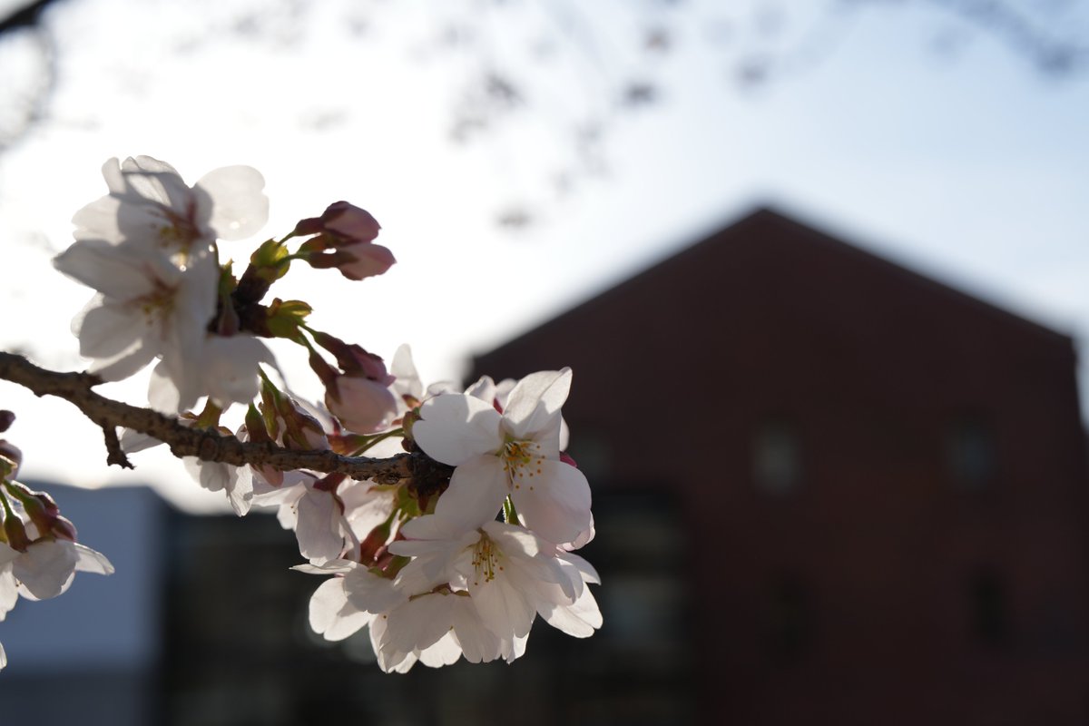 クリエイティブ・スペース赤れんが tweet media