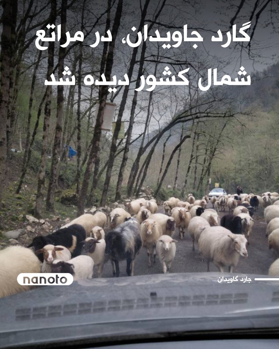 گارد جاویدان، در مراتع شمال کشور