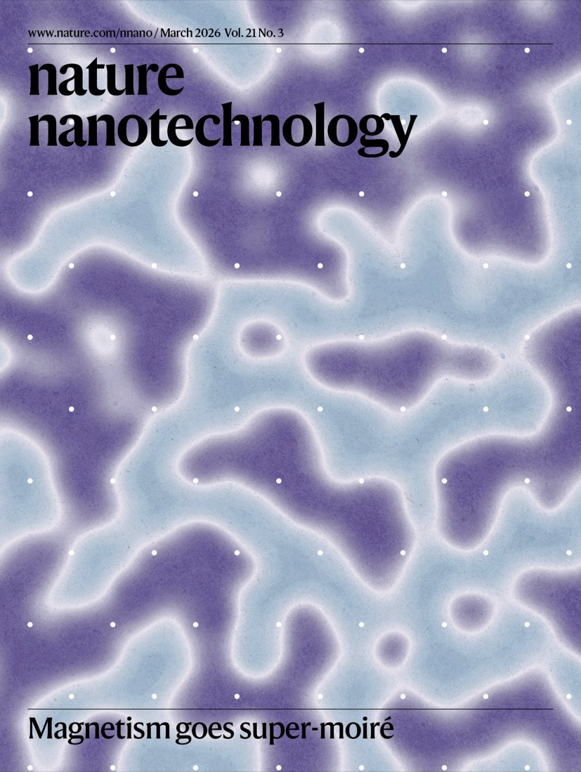 NatureNano's tweet image. In our March 2026 issue:

- Superionic composite electrolytes, 
- 3D helical devices from magnetic Weyl semimetal, 
- Super-moiré spin textures, 
- Enzymatic microbubble robots, 
- Mucus-tethering bispecific nanobodies, and more....  

#Nanotechnology 

nature.com/nnano/volumes/…