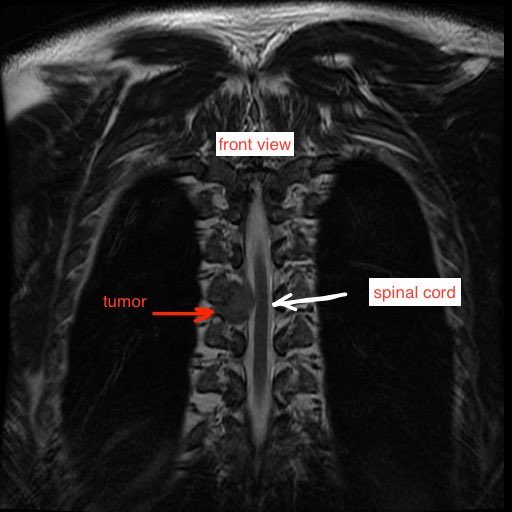 Oscar Chalupsky tweet media