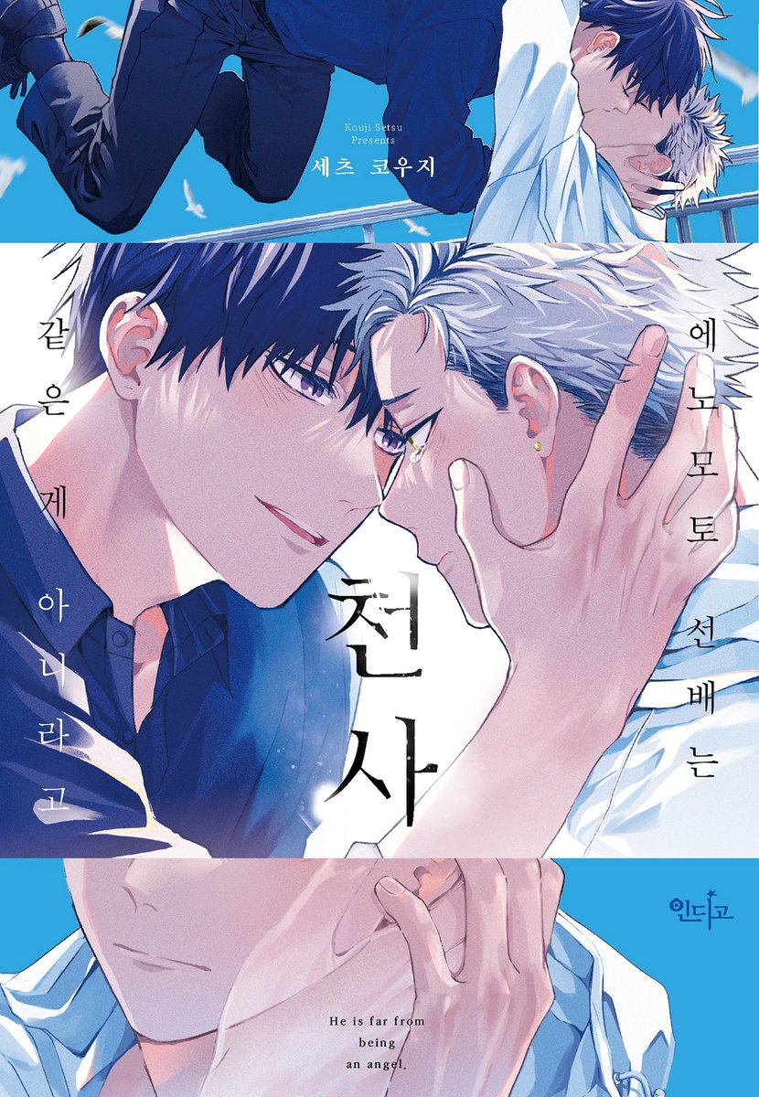 인디고 tweet media