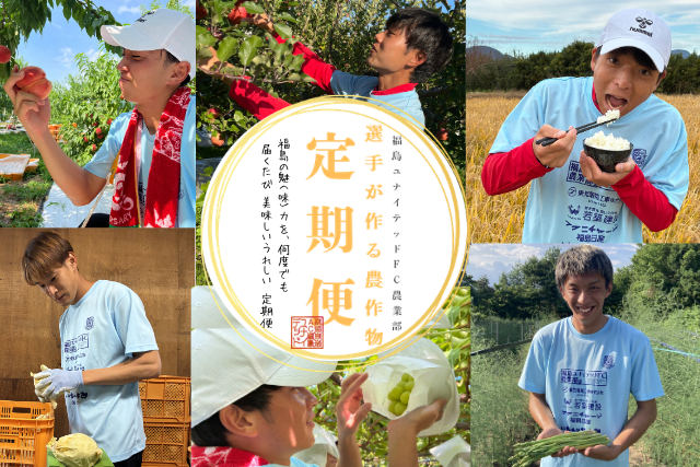 fufc_staff's tweet photo. 【🍑🍇🍚✨福島の旬をまるごとお届け✨🍐🍓🍎】
 ＼🍑✨福島の旬をまるごとお届け✨🍎／
 🍇🍚26-27シーズン 定期便スタート‼️🍐🍓

福島ユナイテッドFC農業部
 🌾定期便の予約受付開始🌾

選手たちが農家さんと一緒に育てた、
 “本気の農作物”を旬ごとにお届け💪✨
 福島の魅（味）力をぎゅっと詰め込みました🤤💛

■⏰受注開始
 3/26（木）17:00〜

■🛒販売
 農業部オンラインショップ

 ✨定期便のここがスゴい！✨
 ✔️ 1回の注文でOK📦
 ✔️ 人気商品も確実GET🔥
 ✔️ 単品よりお得💰✨
 ✔️ 贈り物にも最適🎁💛

 ✨豪華ラインナップから選べる3コース✨

🟡おためし（12,000円）
 →気軽に福島を味わう🍑🍚🍎

🔵しっかり（24,000円）
 →人気No.1✨満足度抜群🔥

🔴まるごと（36,000円）
 →全部入り‼️贅沢フルコース🤤✨

 ⚠️数量限定‼️
 予定数に達し次第終了となります💨

“選手が育てた福島の魅(味)力”
 ご注文はお早めに‼️🔥🔥

📱詳細はこちら👉https://t.co/LSeA4htceu

#福島ユナイテッド農業部
#福島ユナイテッド
