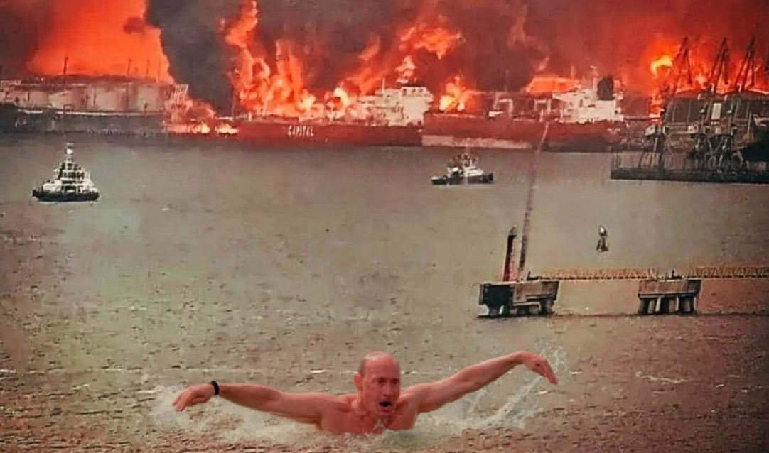 Вестник бури / Буревестник tweet media