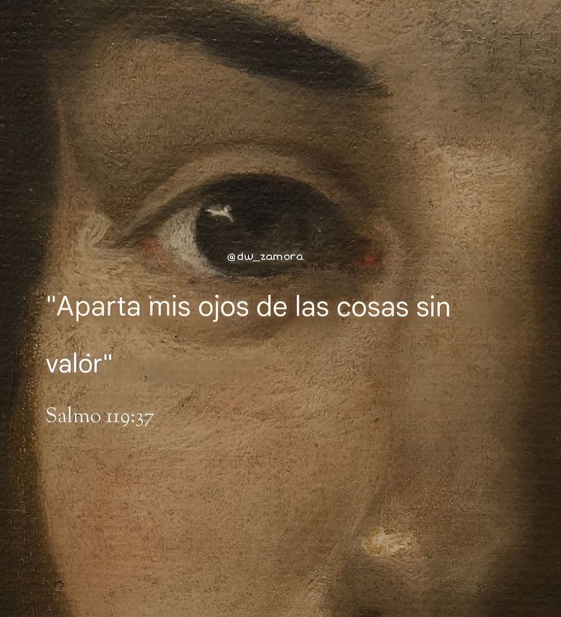 Tu bro de confianza tweet media