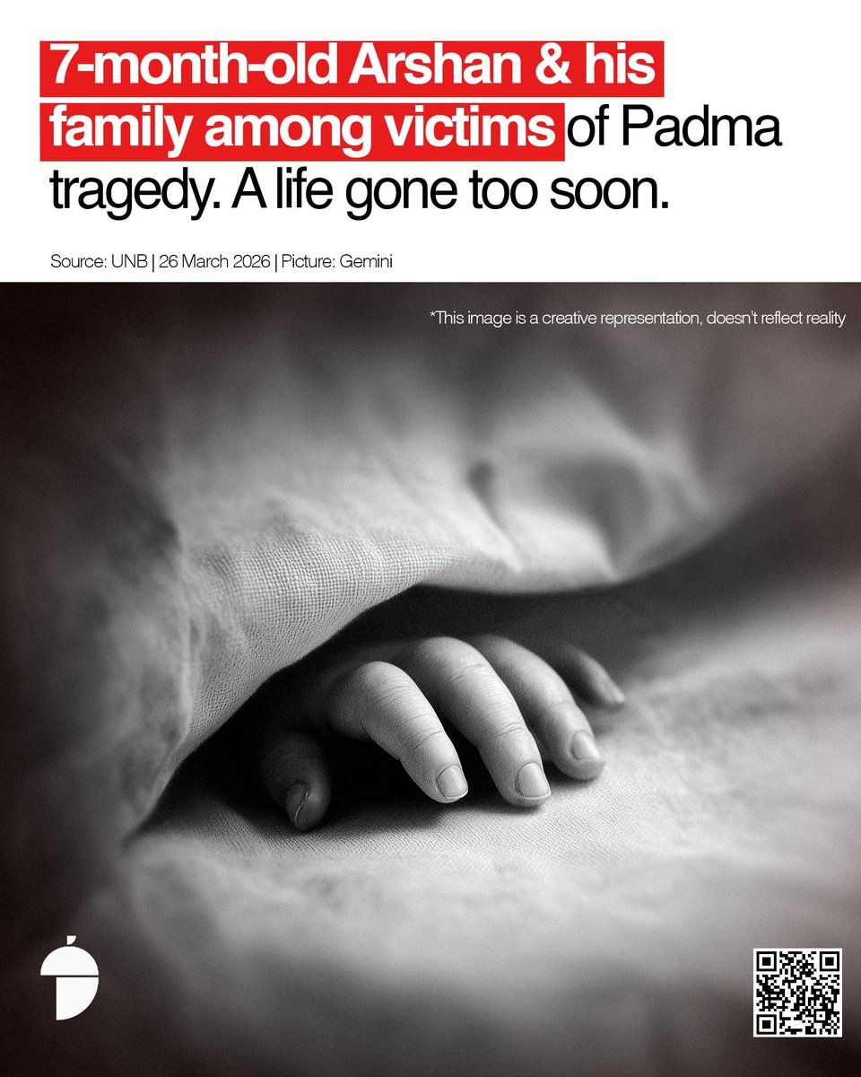 Nutshell Today tweet media