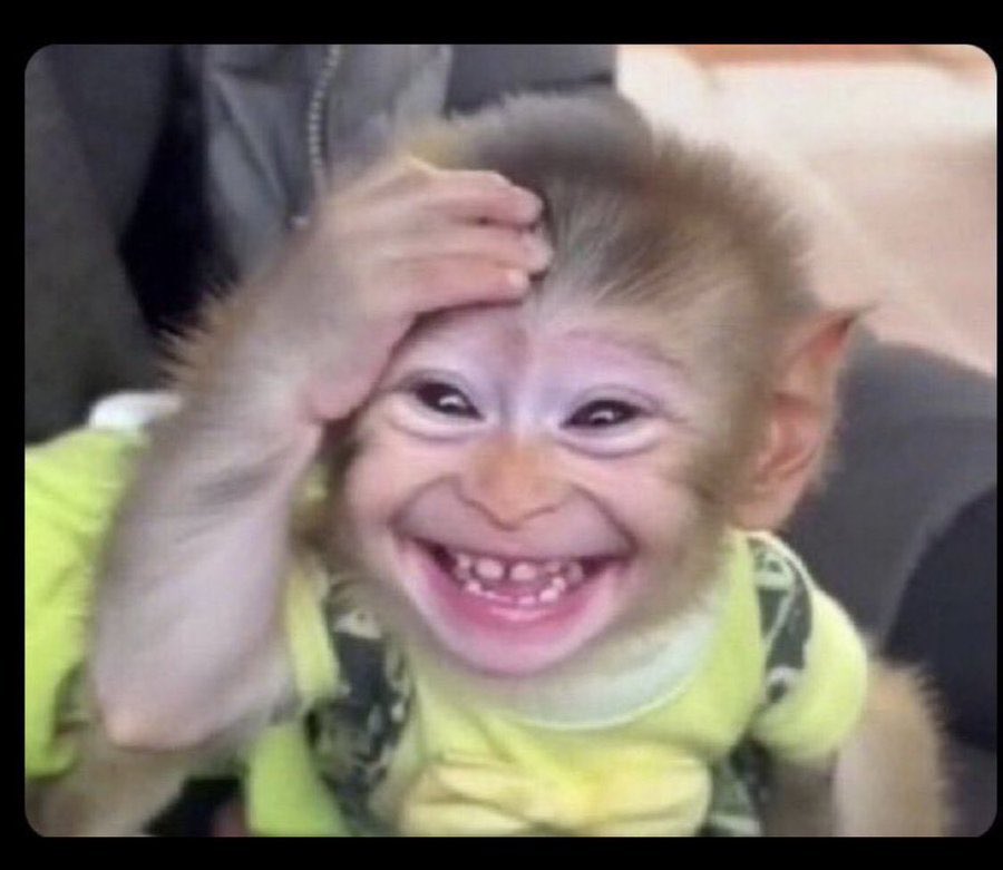 Mighty Lowkey tweet media