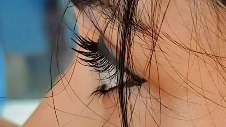 Equities Fraise tweet media