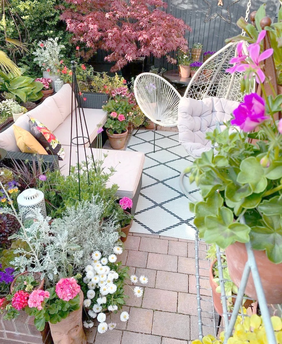 Rochelle Jordan tweet media