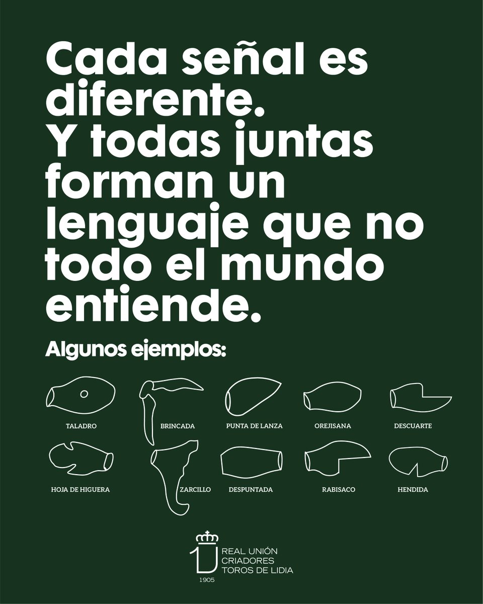 Real Unión de Criadores de Toros de Lidia tweet media