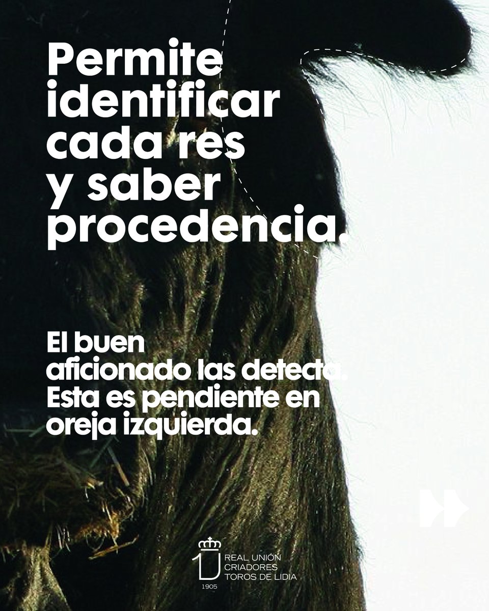 Real Unión de Criadores de Toros de Lidia tweet media