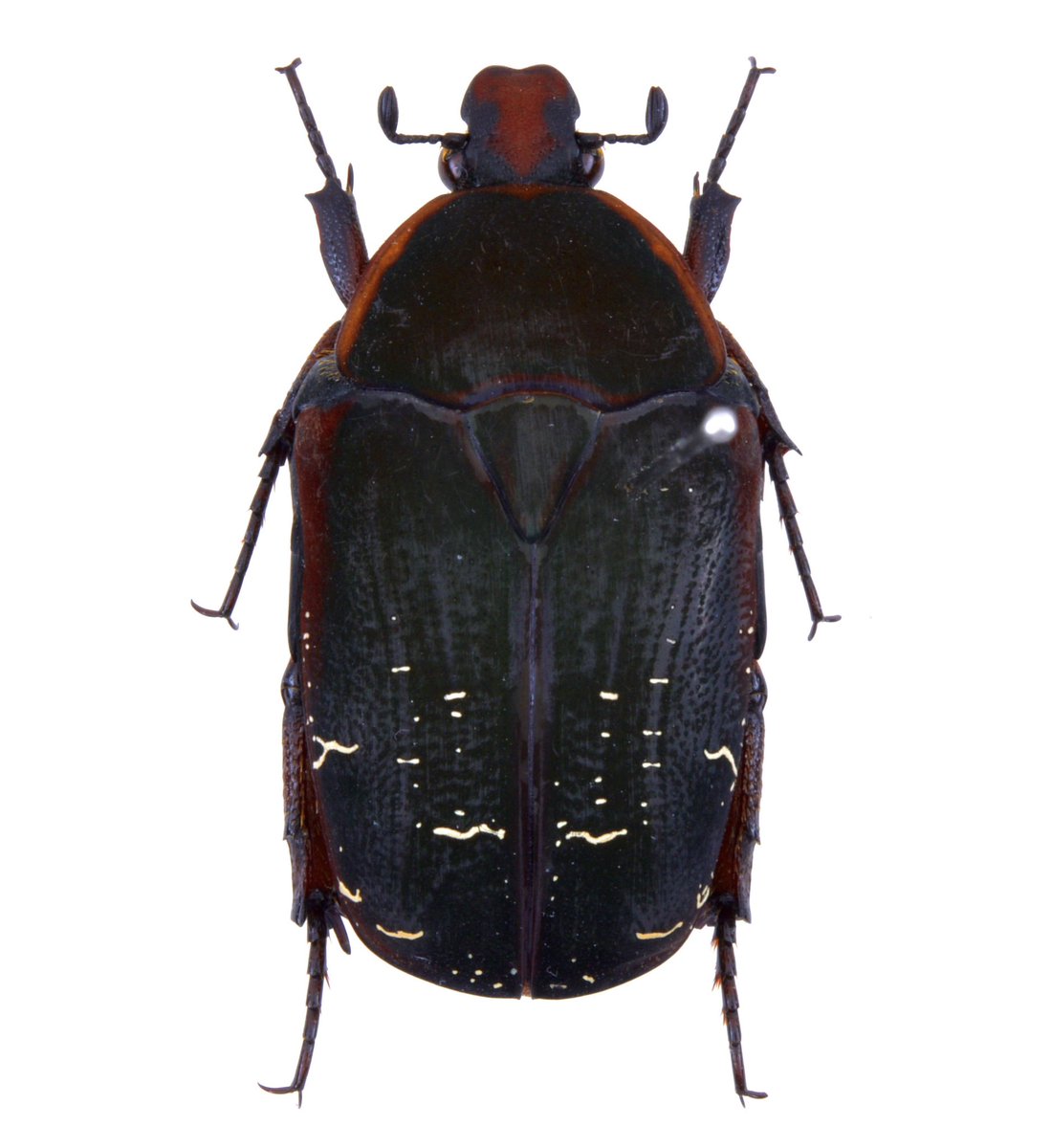 SundayFenn tweet media