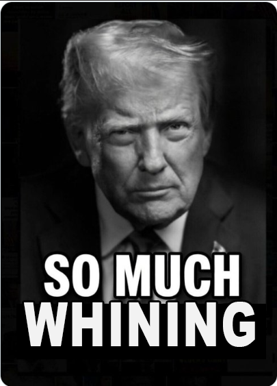 NonOrange🇫🇮 tweet media