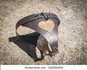 光源氏🇯🇵 tweet media