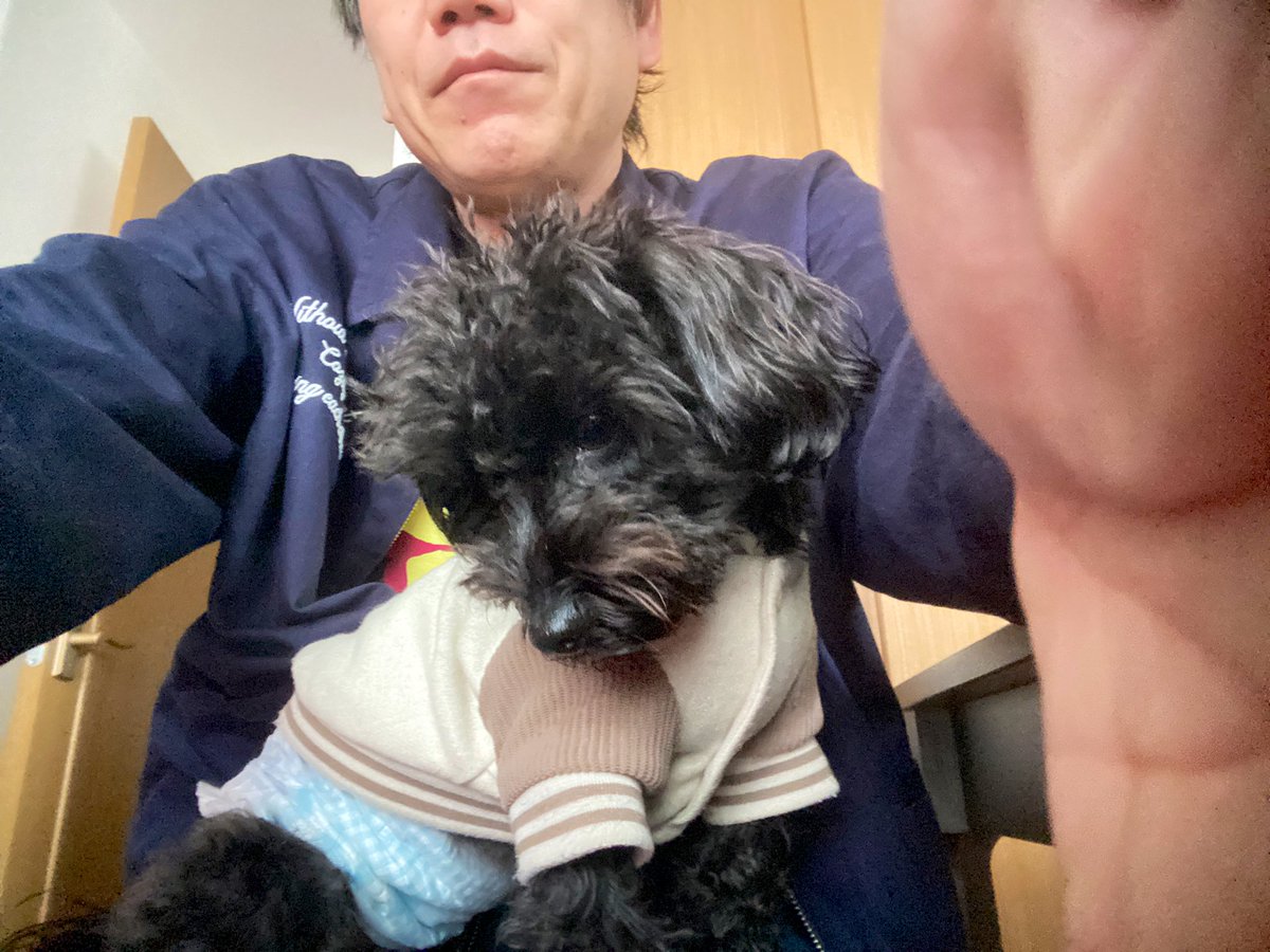 GRAND COLOR STONE / ナカノアツシ tweet media