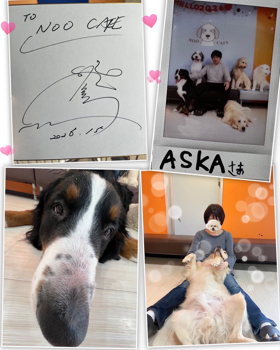 ユカーリ*✲ﾟ tweet media