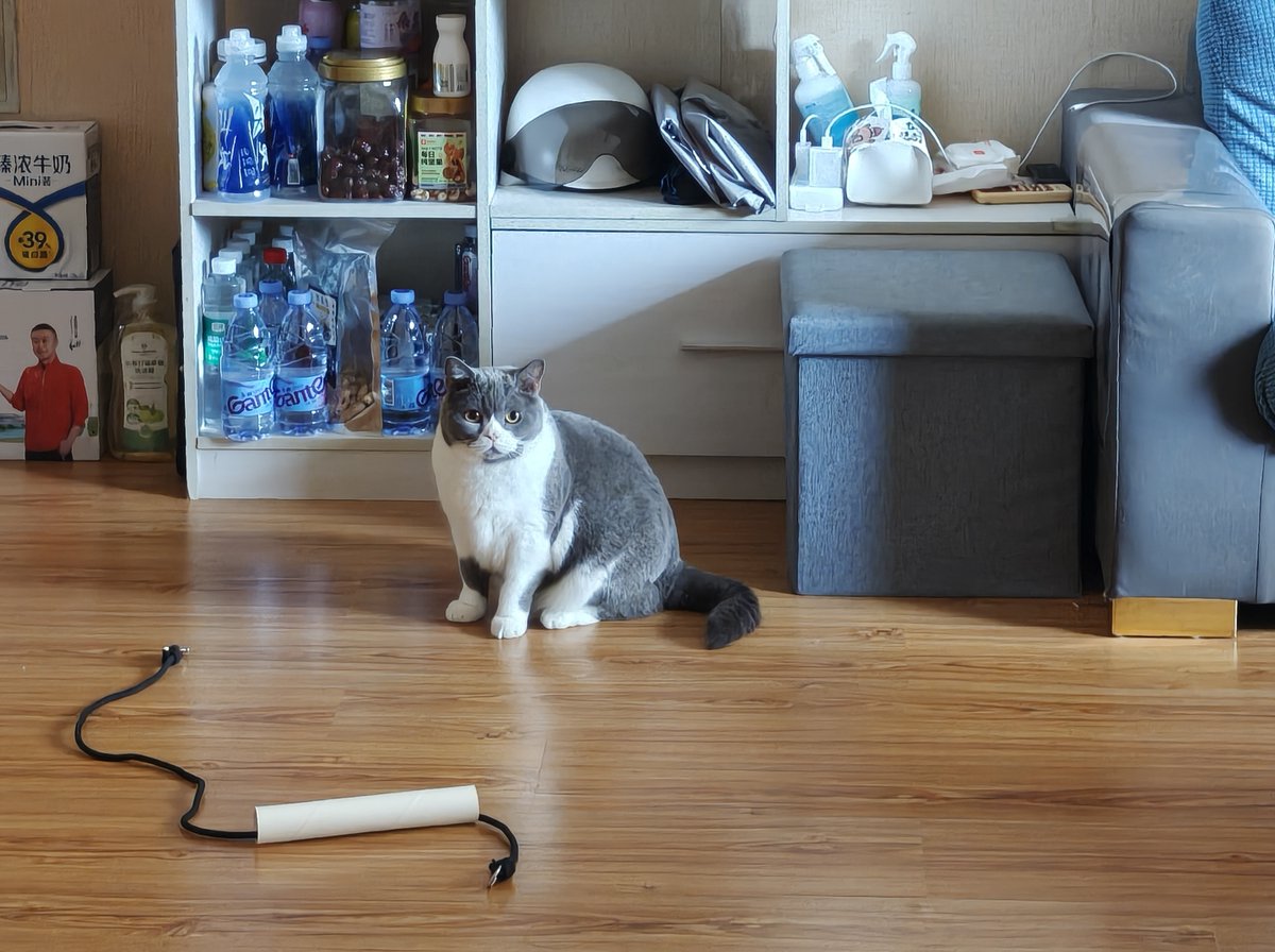 eunice palma tweet media