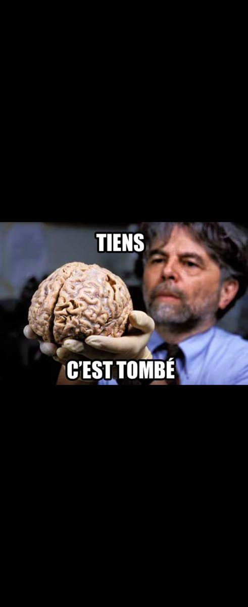 panique morale 🔻 tweet media