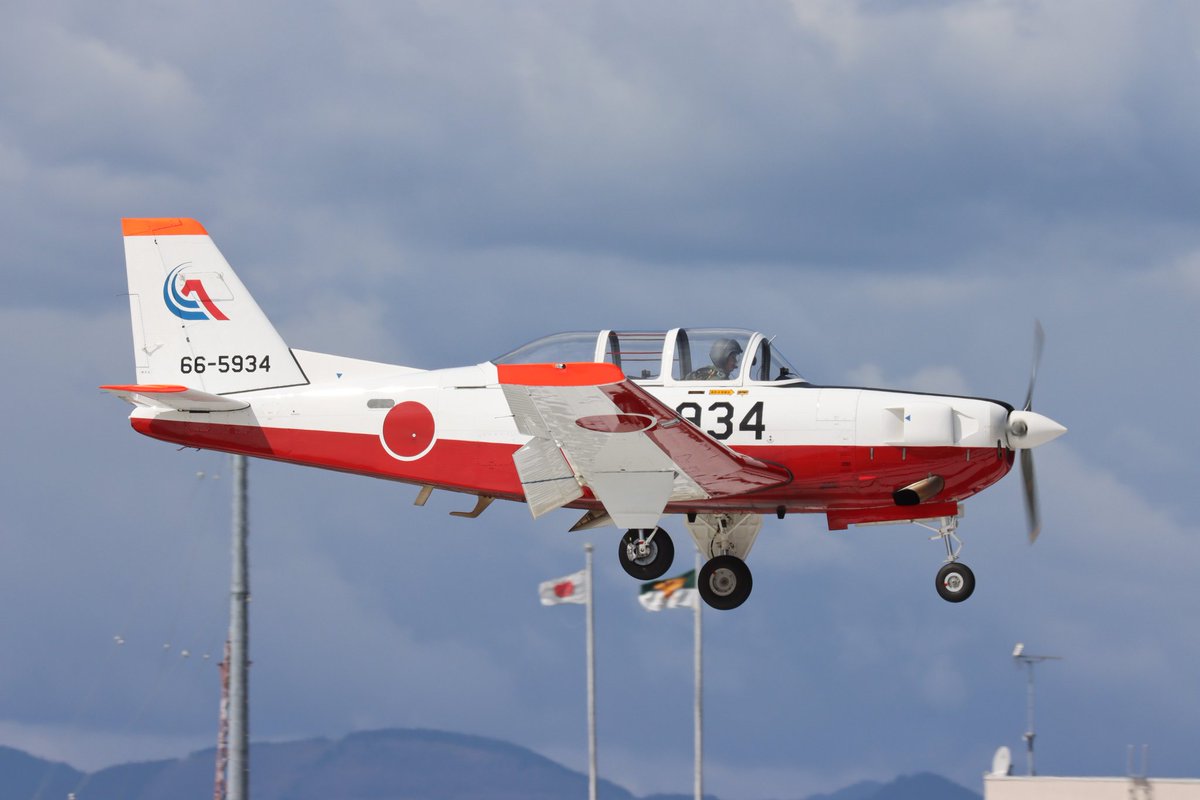 ワイルドあまぎ tweet media