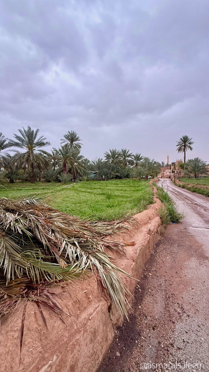 Saudi Magazine tweet media