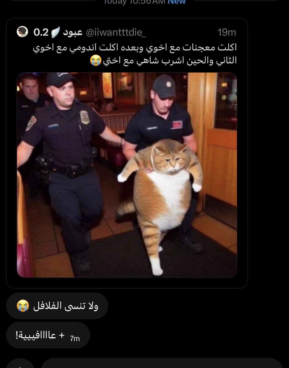 عبود🪽0.2 tweet media