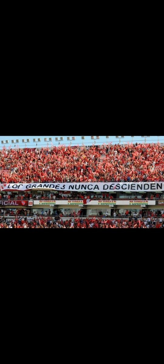 Lucas Romero tweet media