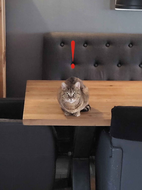 Eeveeseer tweet media