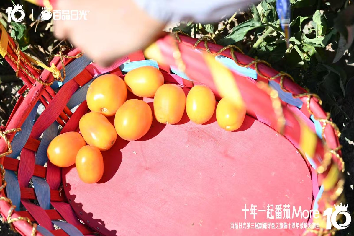 Nusrud Nusrud tweet media