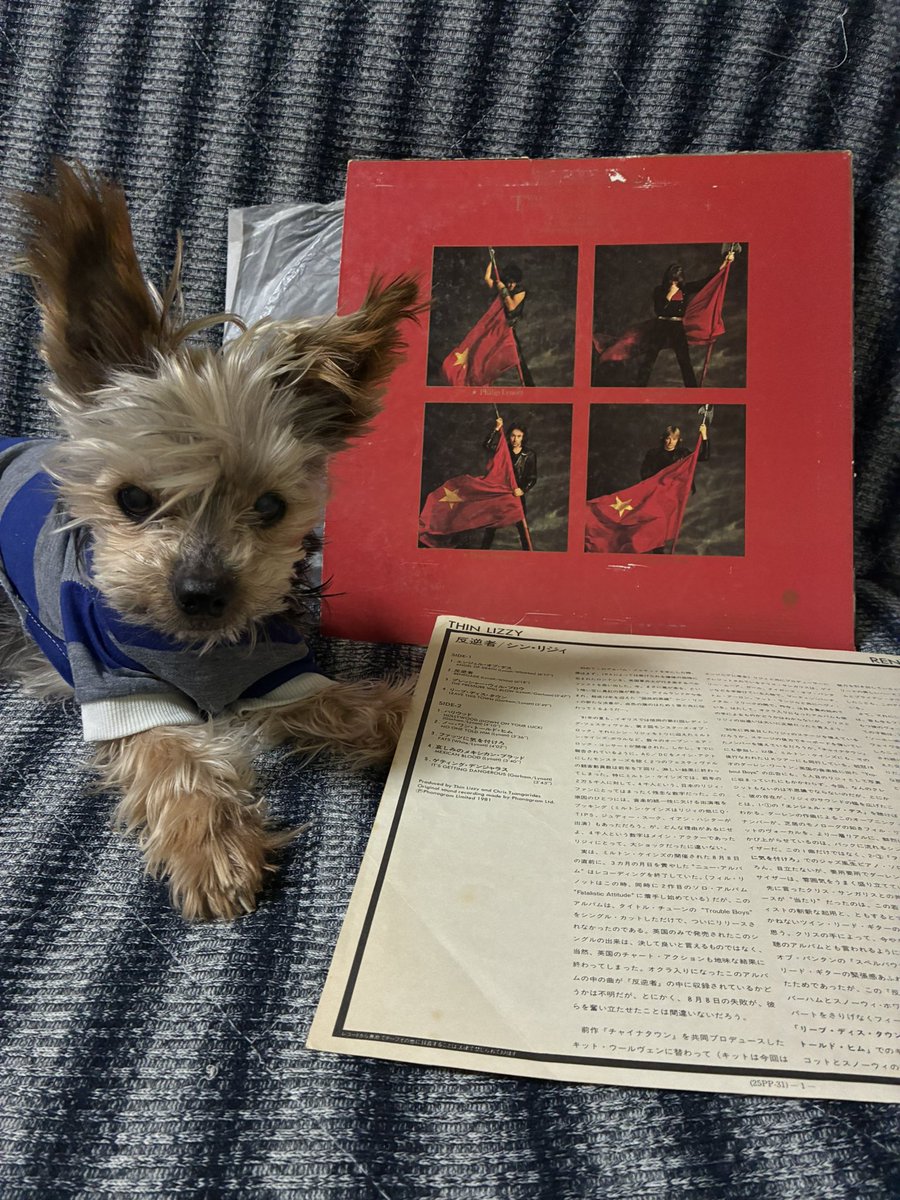 Ken.meta.ray tweet media