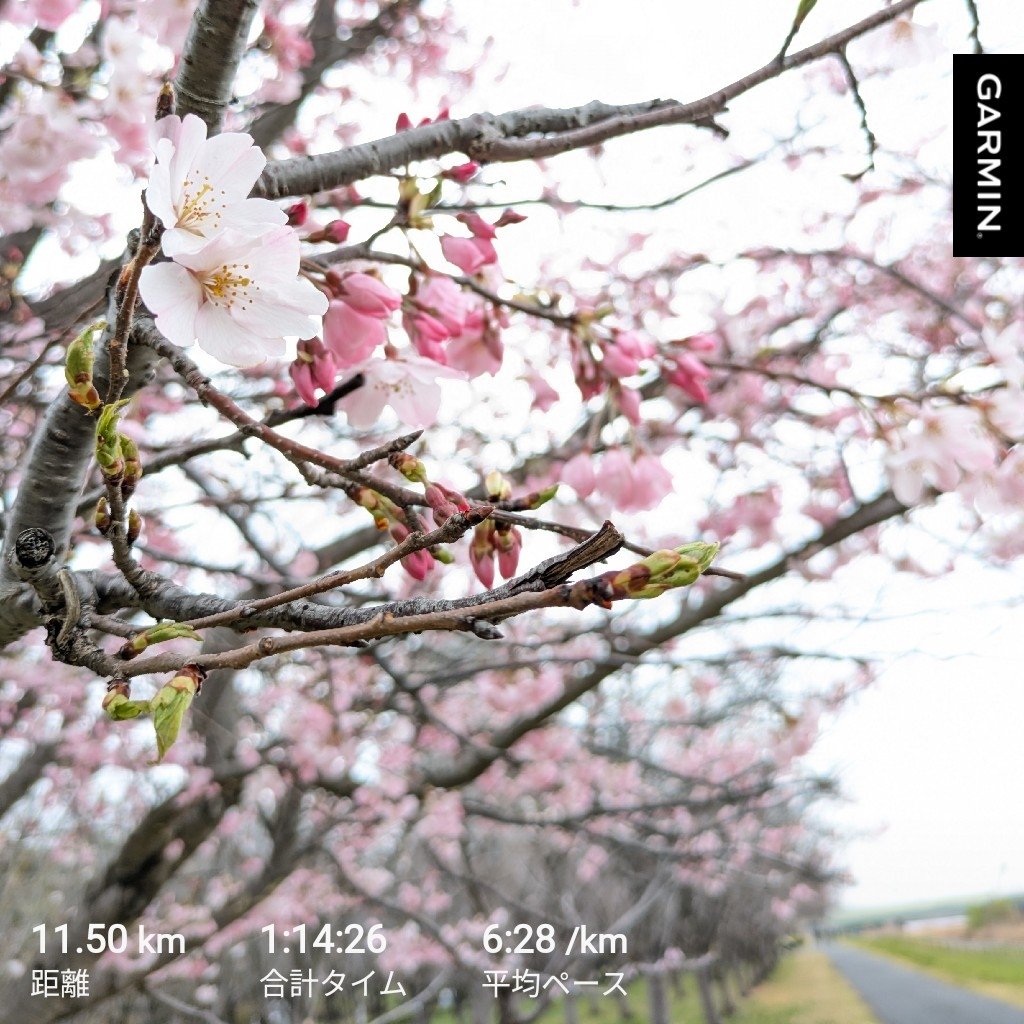 にしむつ tweet media