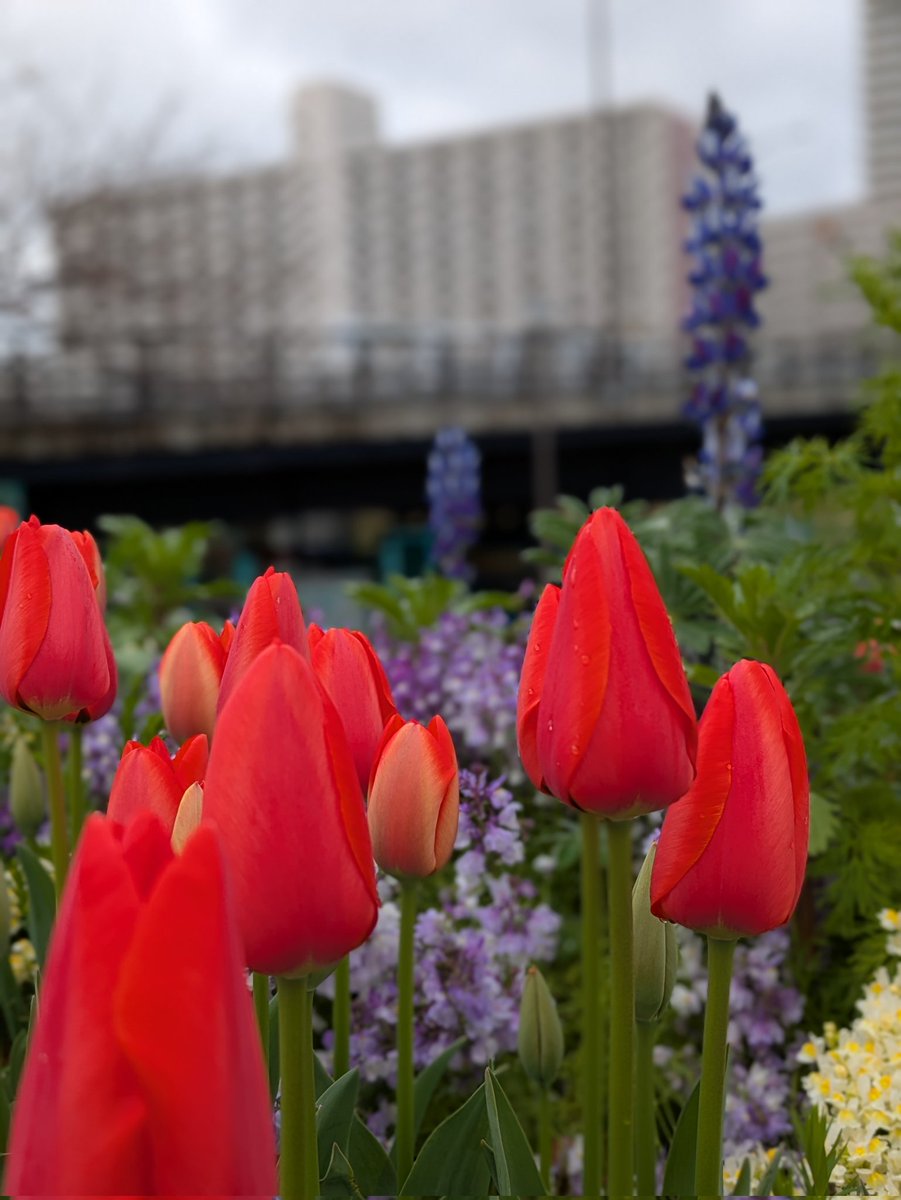 にしむつ tweet media