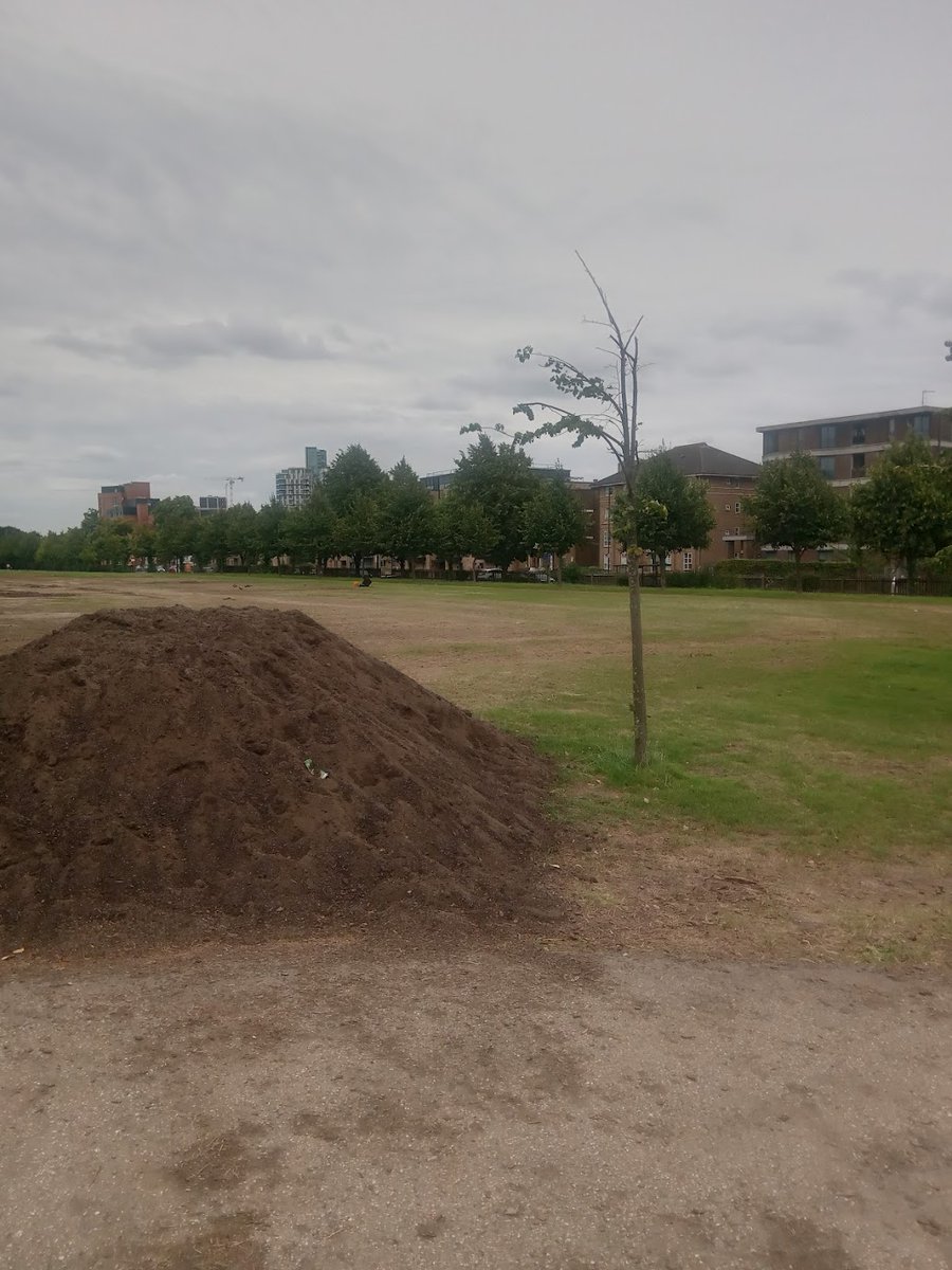 bristlingnarratives tweet media