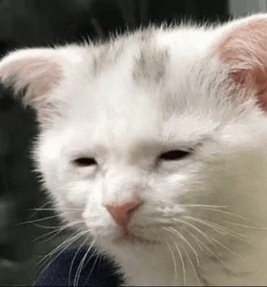 Gun D. Drake 🌵💀 tweet media