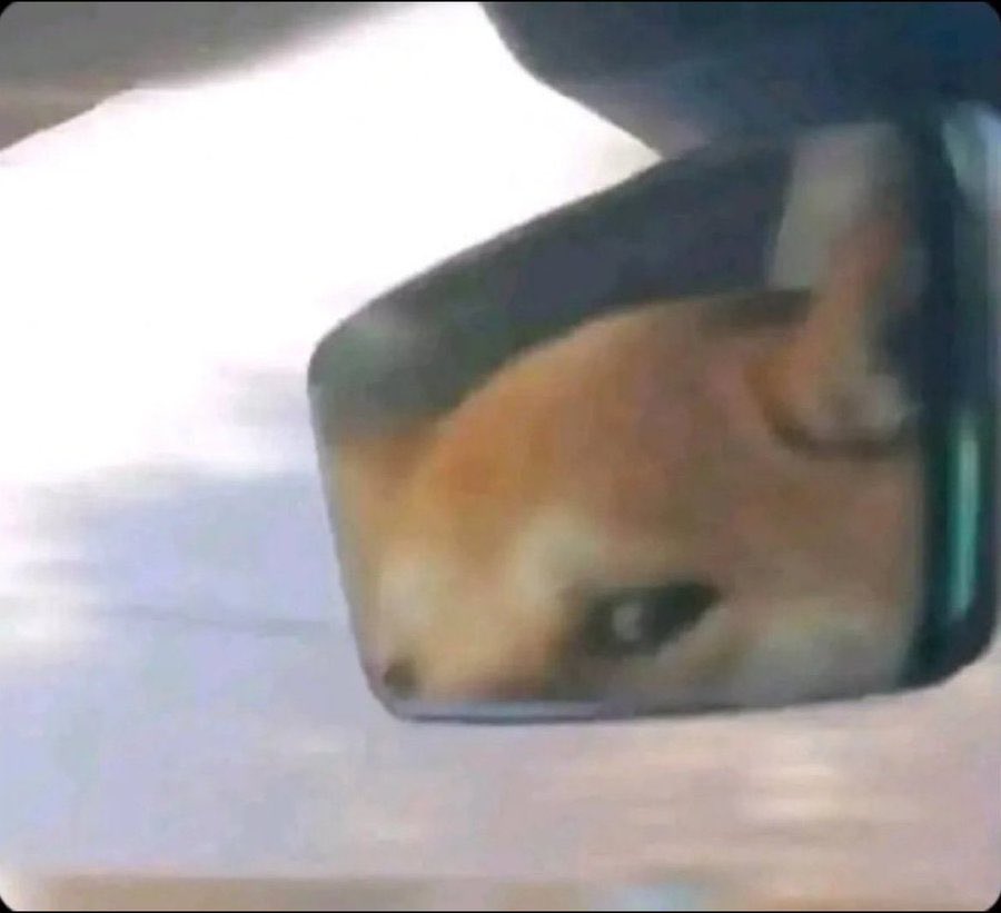 Big El 🏝️ tweet media