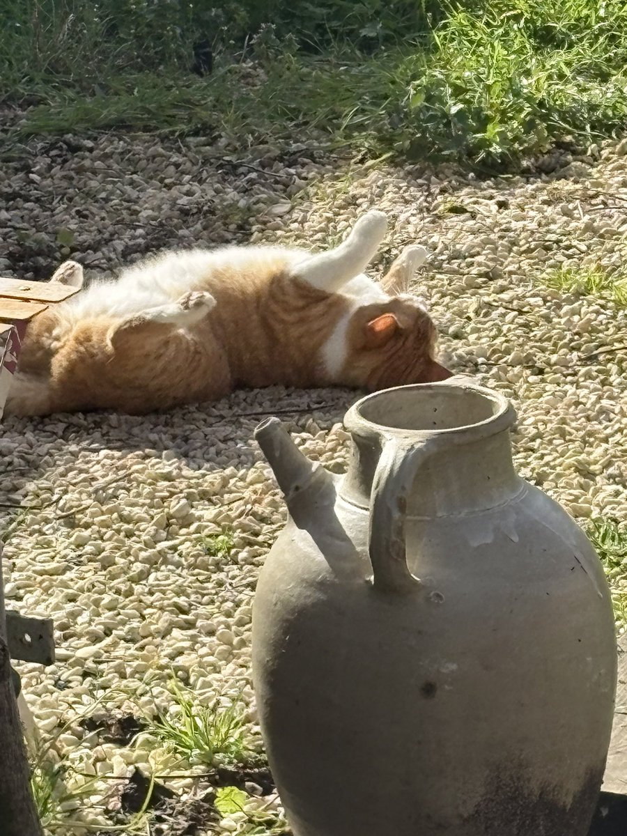 maxlamenace tweet media