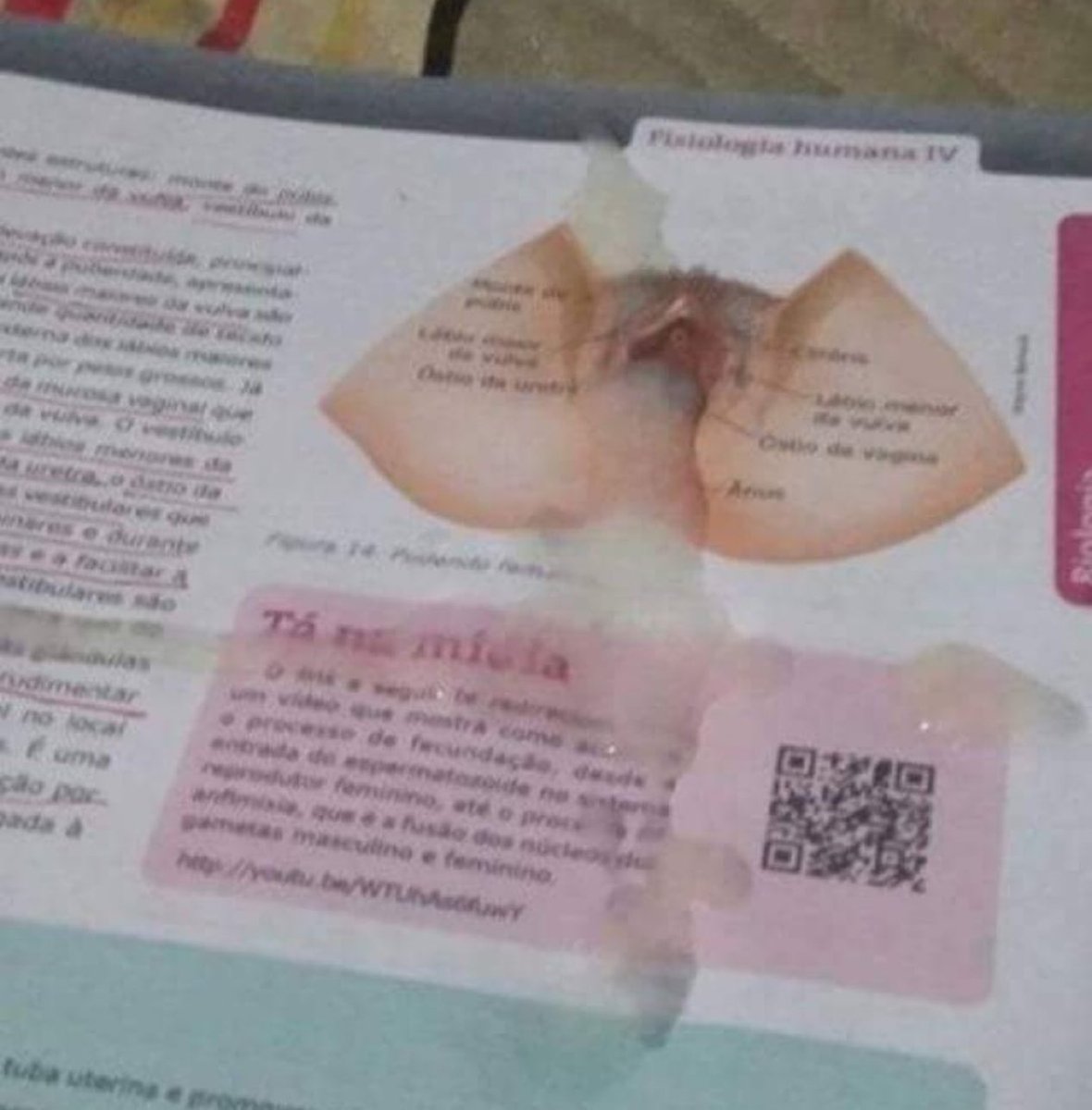 saia do x agora tweet media